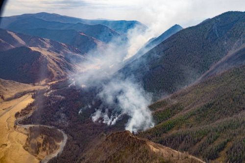 В Туве действует 30 лесных пожаров на общей площади 18193 га