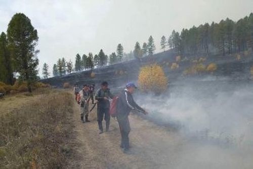 Тывада өртке удур онза чурумну сентябрь 13-ке чедир узаткан