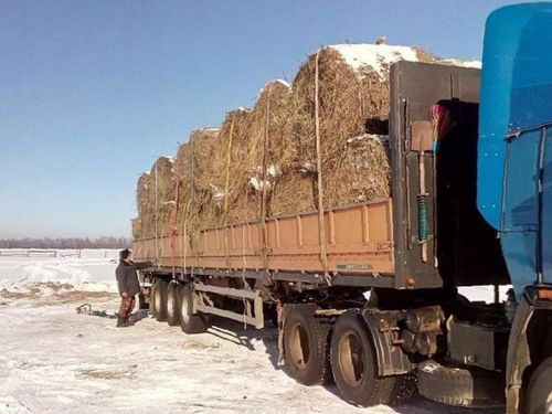В Туве задержали 11,9 тонн сена без необходимых документов