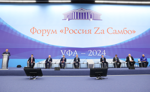 «Единая Россия» предлагает сделать самбо обязательным уроком физкультуры