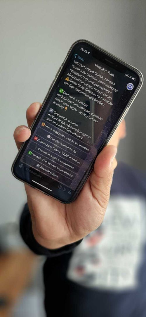 Айтырыгга харыыны бээр: «ИнфоБот Тыва» теперь на тувинском языке!