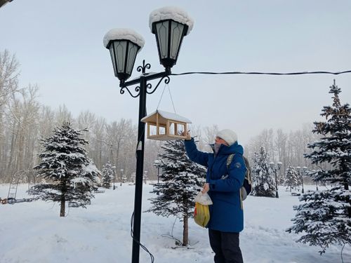 В Туве проходит республиканская акция «Птицы - наши друзья!»