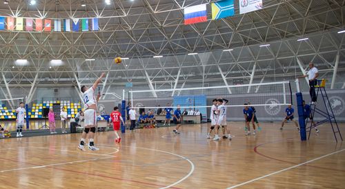 Хол бөмбүү 100 харлаан