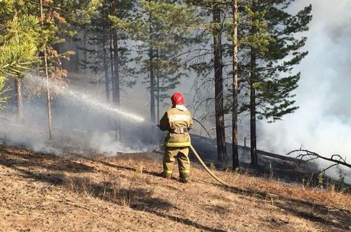 ДЕЙСТВУЮЩИХ ЛЕСНЫХ ПОЖАРОВ В ТУВЕ НЕТ