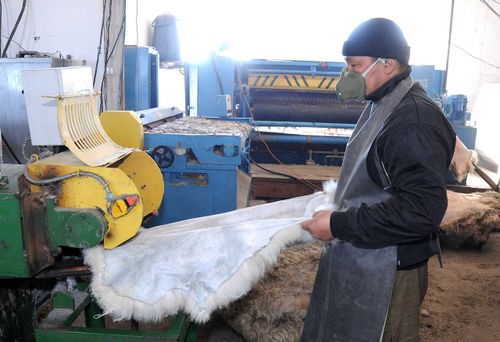 В Туве создают сеть производств по переработке шкур животных