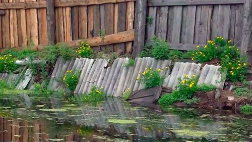 ҮЕР-СУГ ДЭЭШ ШҮҮДЕЛ