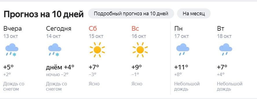 Погода в сосновоборске красноярский край на неделю. Солнце погода вести.