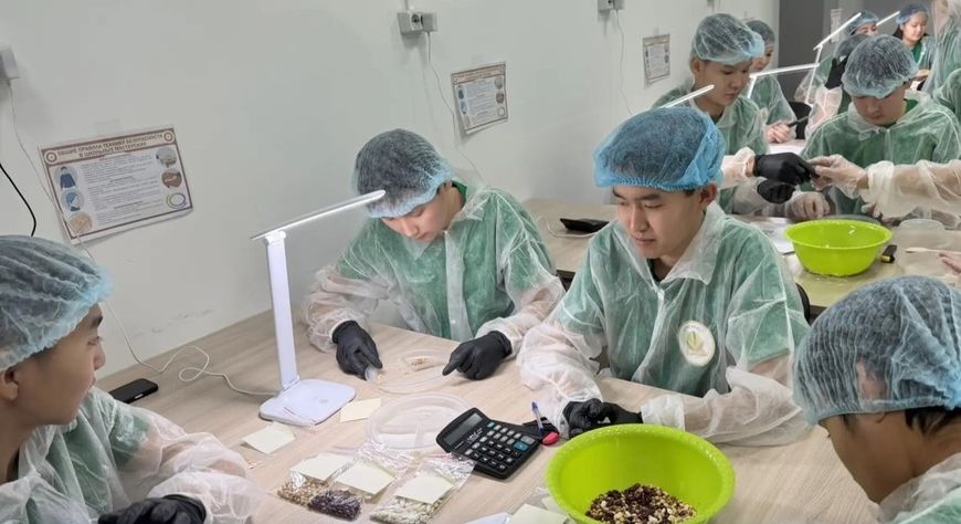 В 2026 году в Туве планируется открыть 24 агрокласса