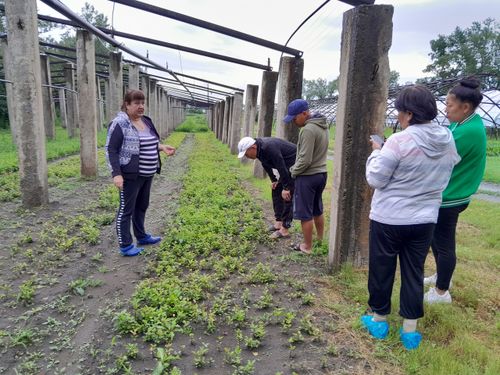 Студенты ТувГУ прошли практику в Центральном сибирском ботаническом саду г. Новосибирска.