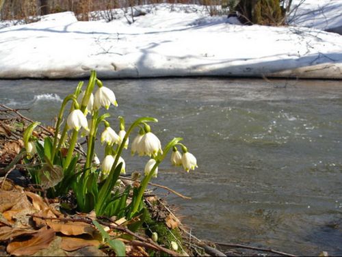 Март акый дугайында тоол