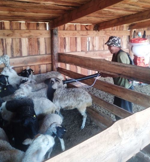 Тускай шериг операциязының киржикчизи чымыштыг иште