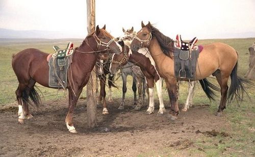 Агаар-бойдус дугайында чоннуң эскериглери