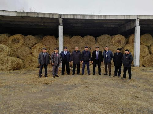 Дары осени. В Танды отметили лучших в сельском хозяйстве