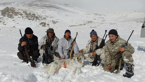 Бөрүлерни аглап турар