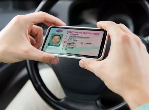 Электронные водительские права планируют приравнять к бумажным