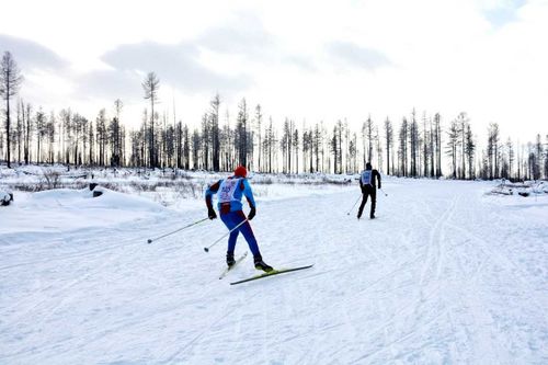 На станции Тайга в эти выходные откроется лыжный марафон «Снежный барс. Ирбис»