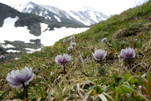 11 января — День заповедников и национальных парков