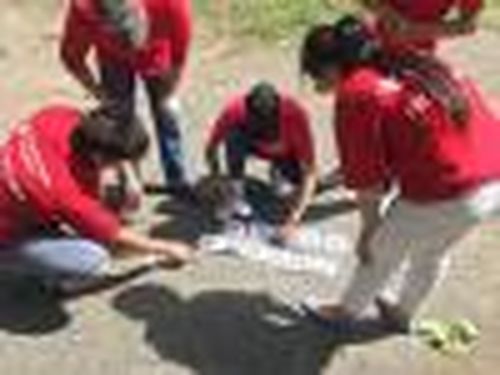 Плоггинг в парке