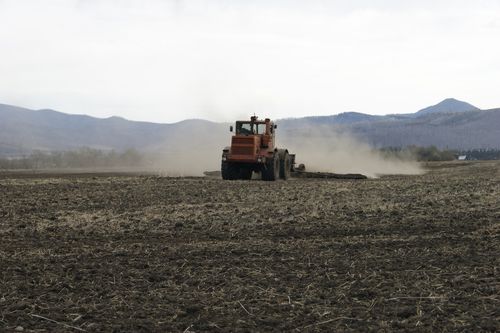 Хову ажылдары кидин түлүк