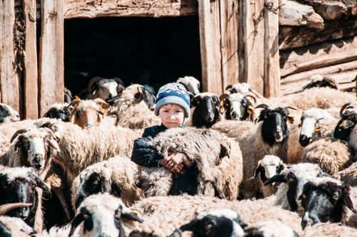 Чүгле анай-хураган – 175 муң