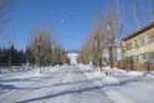 Вернуться в жизнь