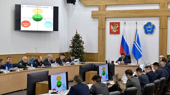 Новогодние праздники в этом году пройдут в более сдержанном формате