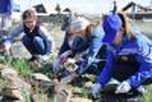 Рассада нынче — мировая