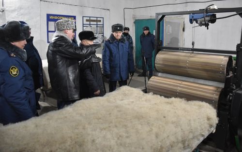 В исправительной колонии УФСИН России по РТ открыт цех переработки шерсти