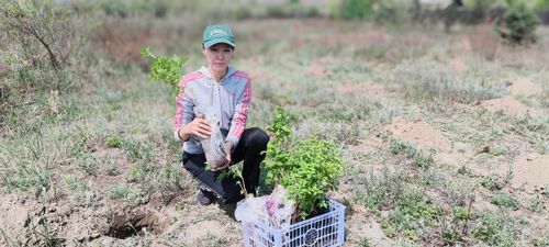 Студенты ТувГУ прошли производственную практику в Ботаническом саду