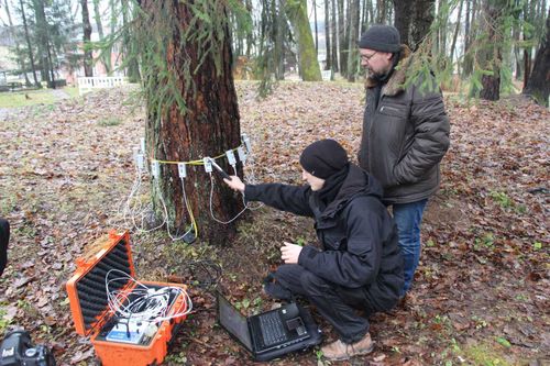 В августе стартует реализация социального проекта «Общественный лесопатолог Чеди-Холя» 