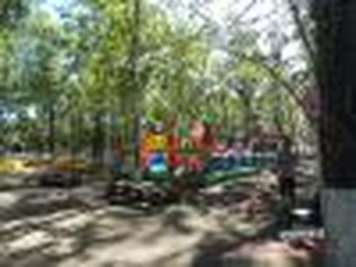 Где батут? Тут!