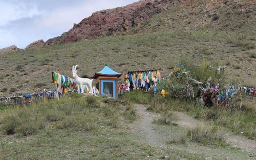 Планируете летний отдых в Туве? Аржаан “Бел”