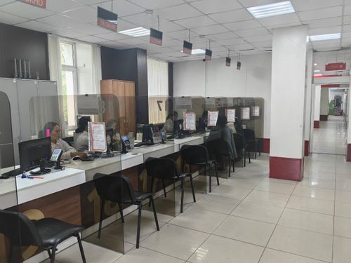 Тыва бедик көргүзүглүг болган