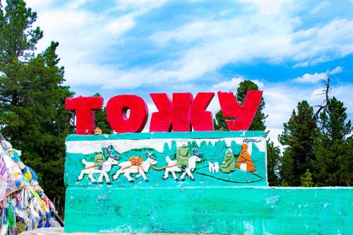 Тожуже электри шугуму