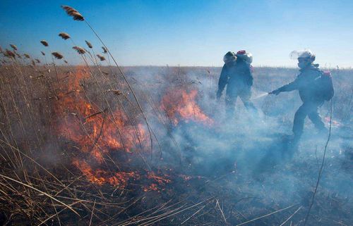 МЧС: 17 пожаров за неделю