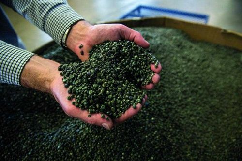 За продажу насвая в Туве накажут крупными штрафами