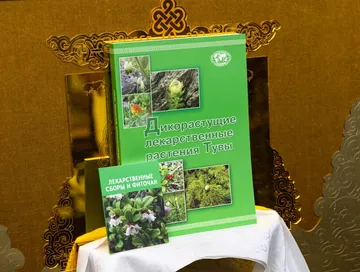 Күжүгет Шойгу аттыг культурлуг фондунуң ажылдары