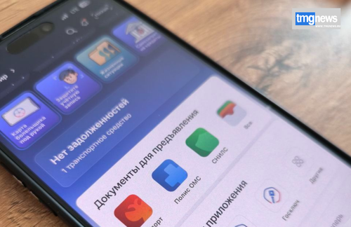 МВД объяснило, когда подросток может оформить первый паспорт через «Госуслуги»