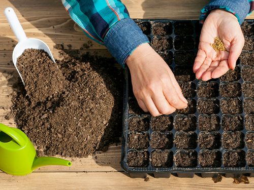 Часкы үеде ногаа тарыырынга белеткел ажылдары