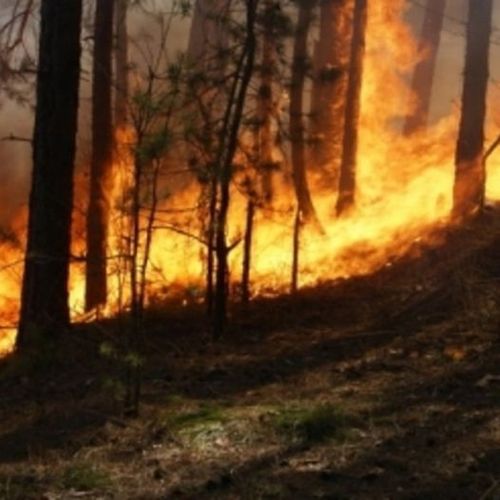 В праздничные дни соблюдайте меры пожарной безопасности