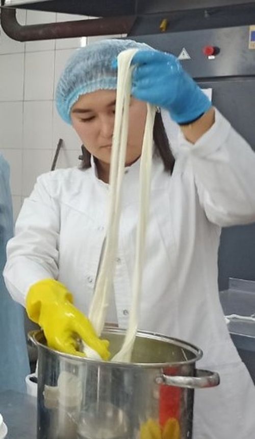 Тува вывела на евразийский рынок патентованный сыр