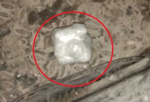 Попался с наркотиками на уличном шоу