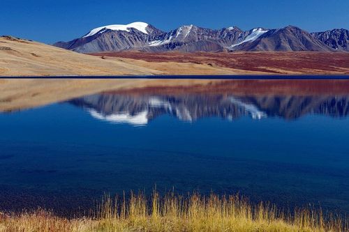 Под эгидой ЮНЕСКО