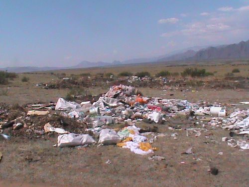 Россельхознадзор: «В 646 метрах от села Ак-Дуруг обнаружена несанкционированная свалка»