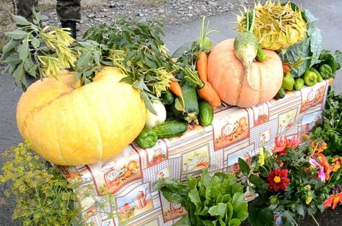 Военные комиссариаты Тувы провели конкурс «Золотая осень»