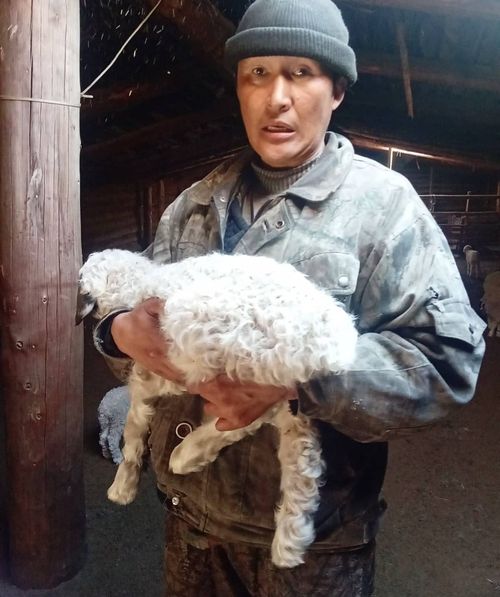 Зима – позади, впереди – подготовка к зиме