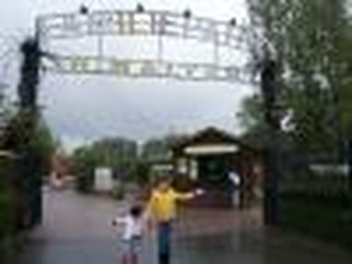 Наследница династии