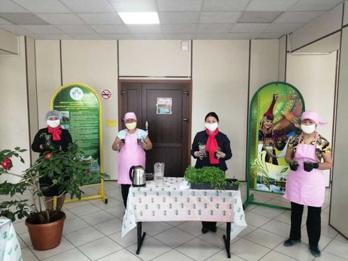 Во время карантина депутаты заняты хозяйством