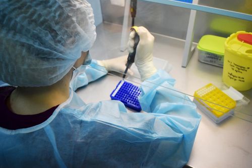 В Туве число заболевших ковидом за сутки снизилось на 212 случаев