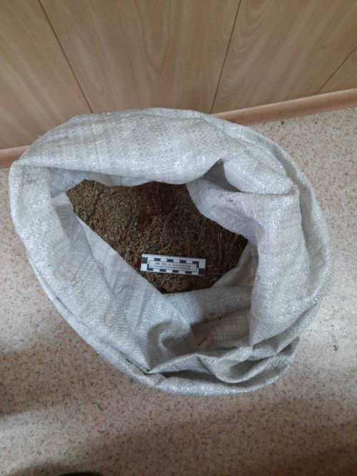 В Чаа-Хольском кожууне изъято 1,5 килограмма марихуаны